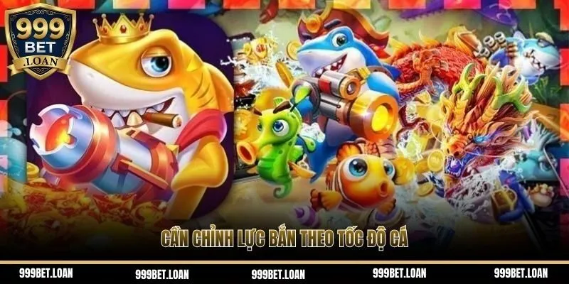 Cần chỉnh lực bắn theo tốc độ cá