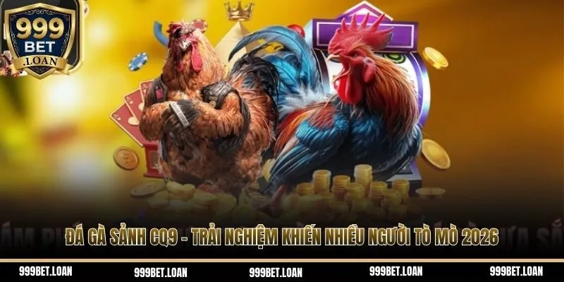 Đá gà sảnh CQ9